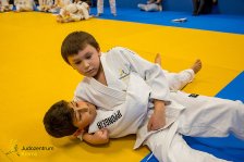 23.01.2026 Kyu-Prüfung